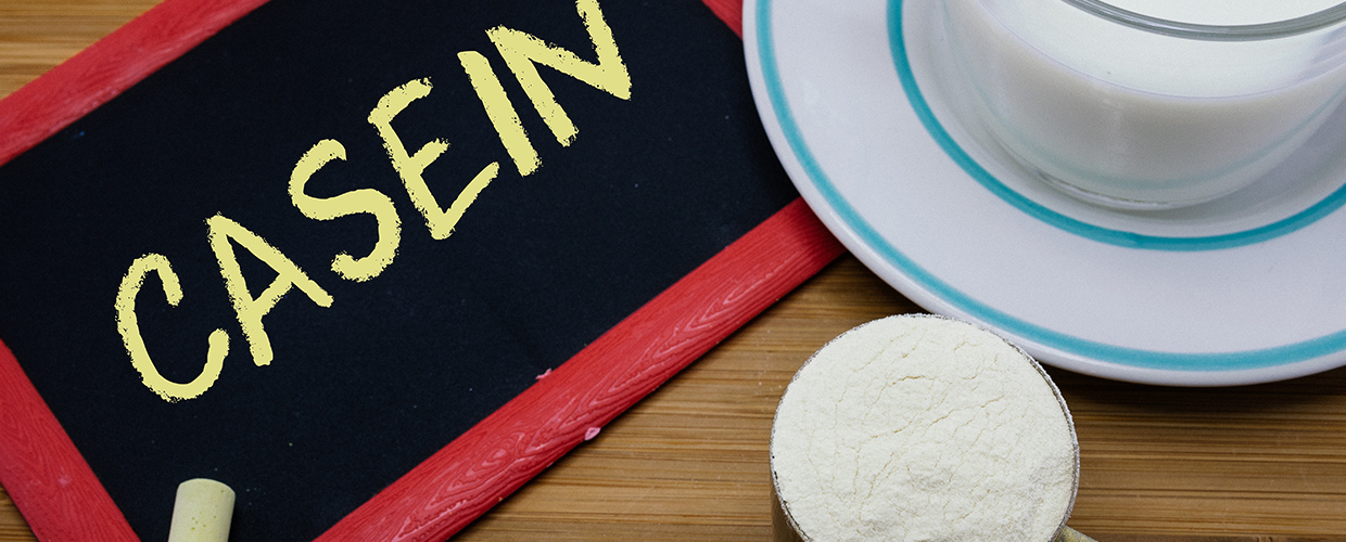 Casein protein feature image