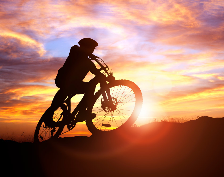 Knysna Oyster Festival